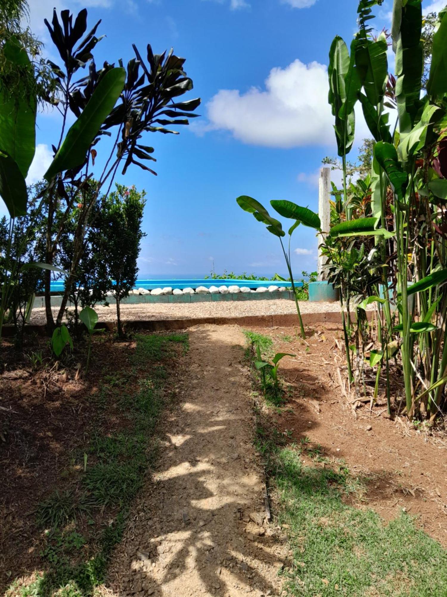 Finca La Puesta Del Sol - Miramar De Sierpe Quarto foto