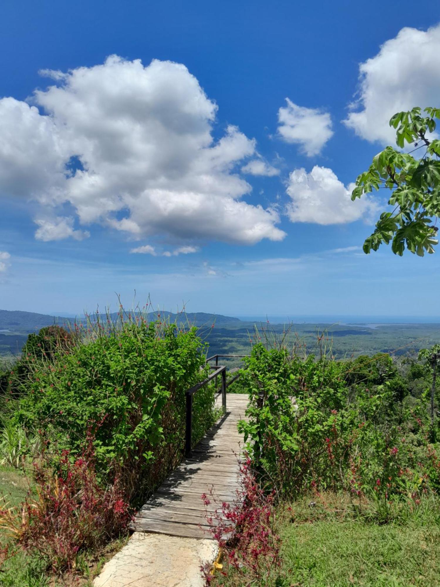 Finca La Puesta Del Sol - Miramar De Sierpe Quarto foto