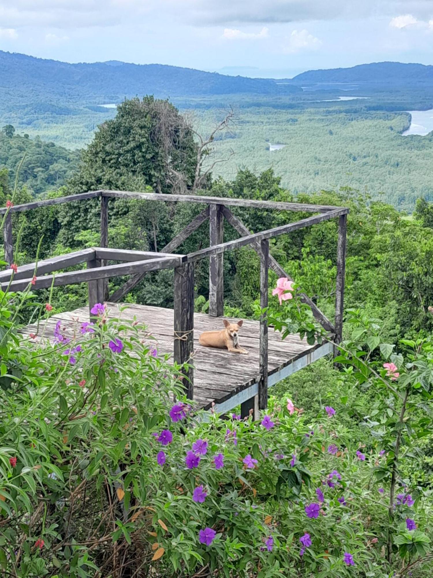 Finca La Puesta Del Sol - Miramar De Sierpe Quarto foto
