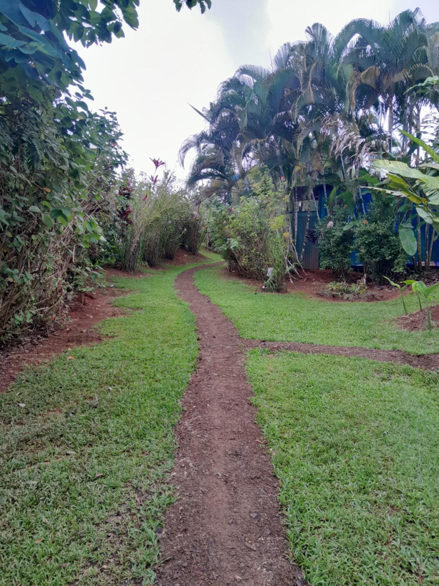 Finca La Puesta Del Sol - Miramar De Sierpe Quarto foto