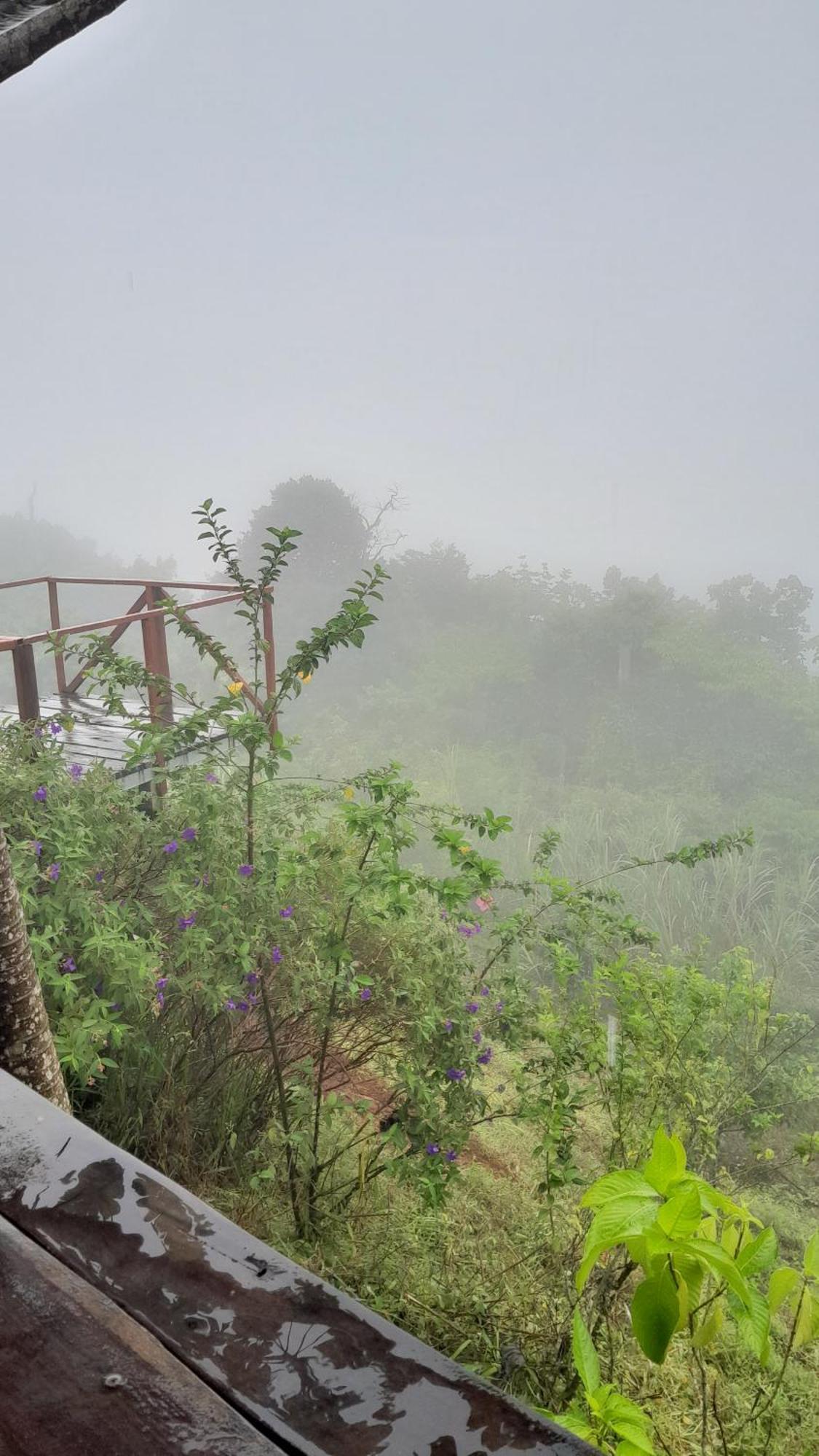 Finca La Puesta Del Sol - Miramar De Sierpe Quarto foto
